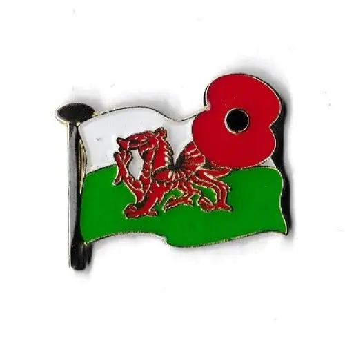 Poppy Flag Enamel Pin (Wales)